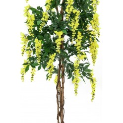 EUROPALMS Wisteria, artificial plant, yellow, 150cm